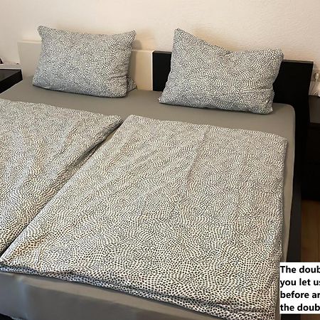 Ferienwohnung Mit 2 Zimmer, Kueche, Bad, In Σααρμπρύκεν Εξωτερικό φωτογραφία